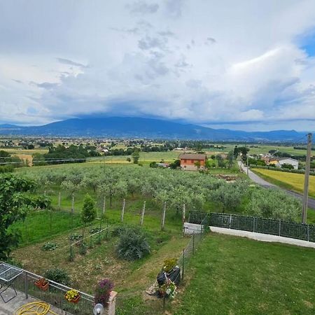 Delizioso Appartamento Collinare Limigiano Экстерьер фото