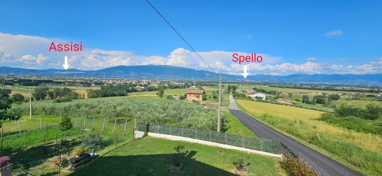Delizioso Appartamento Collinare Limigiano Экстерьер фото