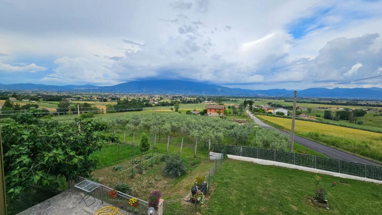 Delizioso Appartamento Collinare Limigiano Экстерьер фото